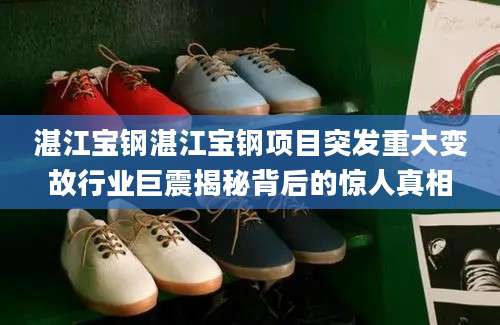 湛江宝钢湛江宝钢项目突发重大变故行业巨震揭秘背后的惊人真相